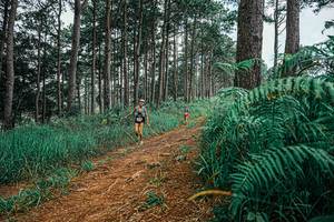 BIB: 
                            <button type="button" onclick="openModal(25689917)" class="btn btn-primary btn-sm float-right btn-popup" data-toggle="modal" data-target=".modal-high-quality">
                        <i class="fas fa-shopping-cart"></i> Add to Cart
                    </button>
                                            <button type="button" onclick="isThisMe(25689917, true)" class="btn btn-success btn-sm float-right btn-popup btn-isme hidden" data-toggle="tooltip" data-placement="bottom" title="นี่คือรูปของคุณใช่ไหม คลิกที่นี่เพื่อเอาเข้าอัลบั้ม">
                        <i class="fas fa-plus"></i> Add to album
                    </button>
                    <button type="button" onclick="isThisMe(25689917, false)" class="btn btn-warning btn-sm float-right btn-popup btn-isnotme hidden">
                        <i class="fas fa-ban"></i> Remove from album
                    </button>